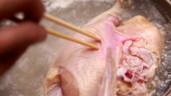 【镜头合集】如何辨别带病的鸡肉 (1)