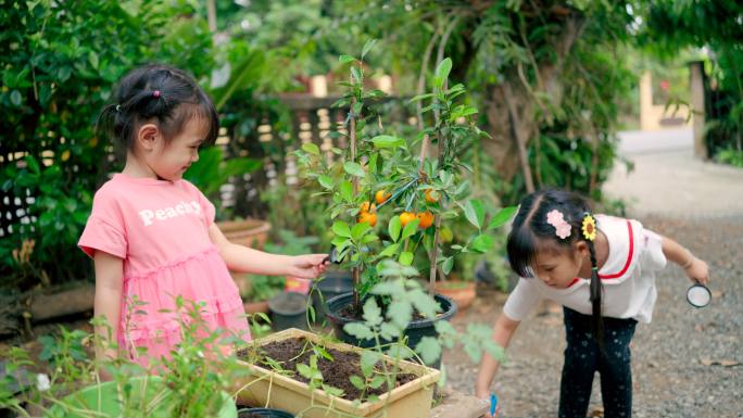 女孩照料盆栽植物小女孩女童少女美丽时光