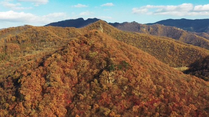 北方秋季山区公路大气美景航拍