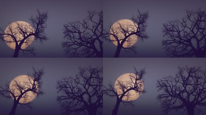 月亮和枯树天空云层黑夜夜晚雷击乌云暴雨来