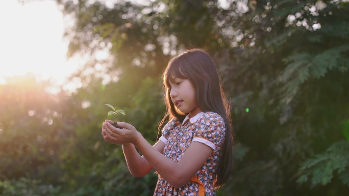 可爱的小女孩手捧树苗