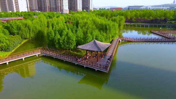 【1080p】航拍洛阳兴洛湖公园、亭子