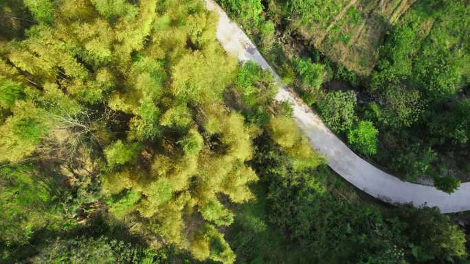 汽车行驶在山路上