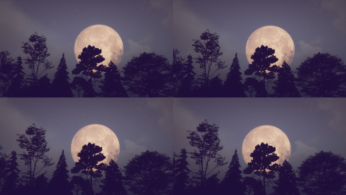 月亮和树木月上枝头树梢上的月亮一轮新月