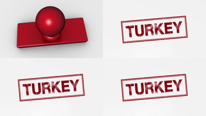 土耳其合作会议签字合同白领商务投资团队