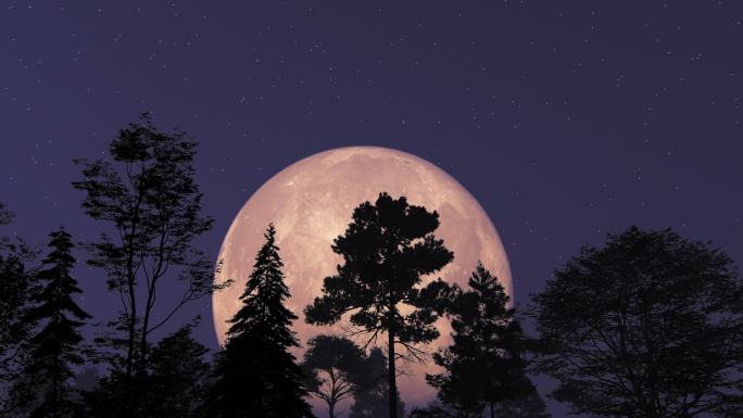 月亮和树木中秋节月亮升起动画特效夜晚黑夜