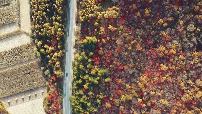 北方秋季山区公路大气美景航拍