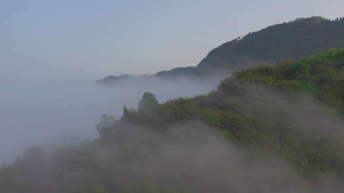 纳溪茶山日出云海素材