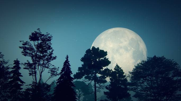 月亮和树木特效视频