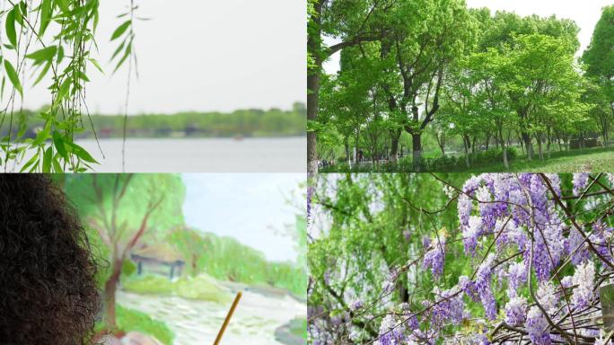 夏日绿色公园紫藤