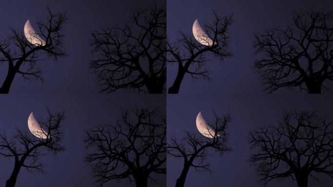 月亮和枯树特效视频舞台背景电影