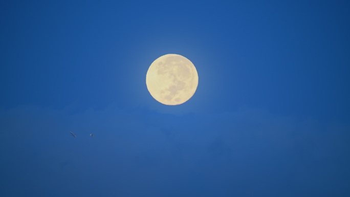 满月中秋月亮满月中秋节视频