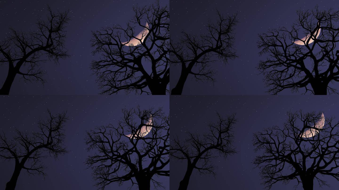 月亮和枯树弯月残月户外野外傍晚天空
