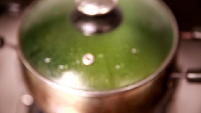 【镜头合集】煮绿豆汤熬绿豆粥 (1)