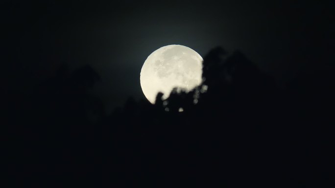 月亮在清晨落下。月色中秋空镜特写月黑风高