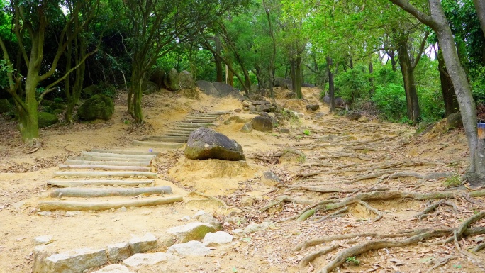 山路 小路 山间小路 登山 爬山 绿道