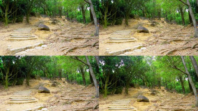 山路 小路 山间小路 登山 爬山 绿道