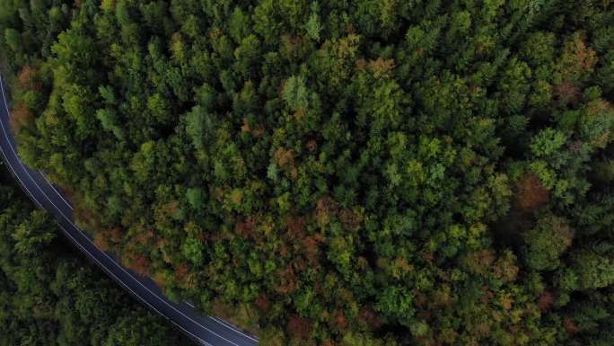 穿过巴尔干山脉的道路