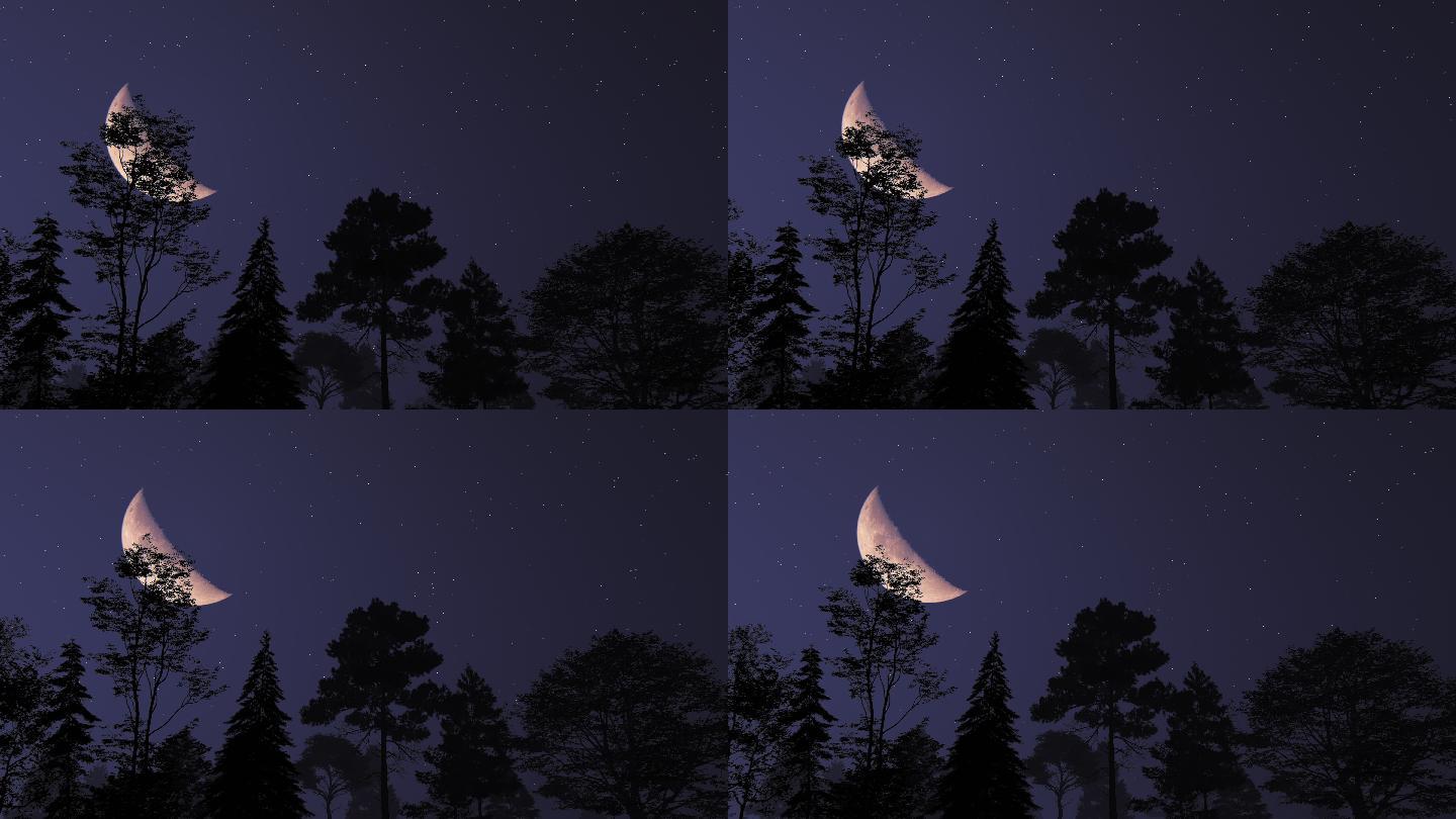 月亮和树木特效视频