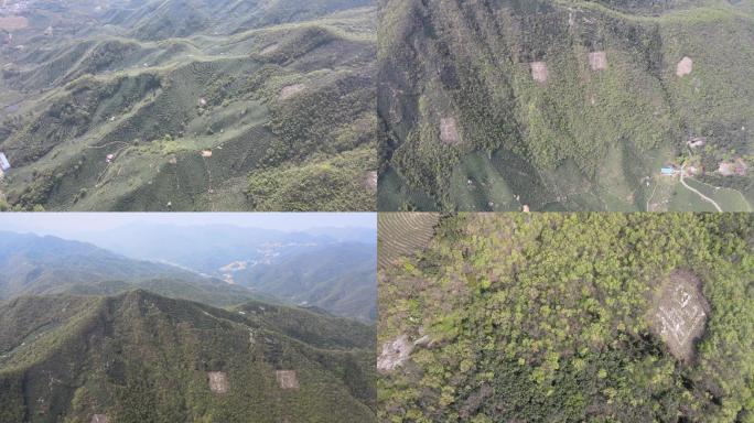 信阳董家河镇茶山航拍