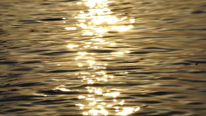 金色的水面上泛起波光粼粼