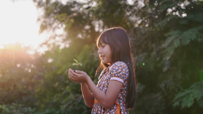 可爱的小女孩手捧树苗