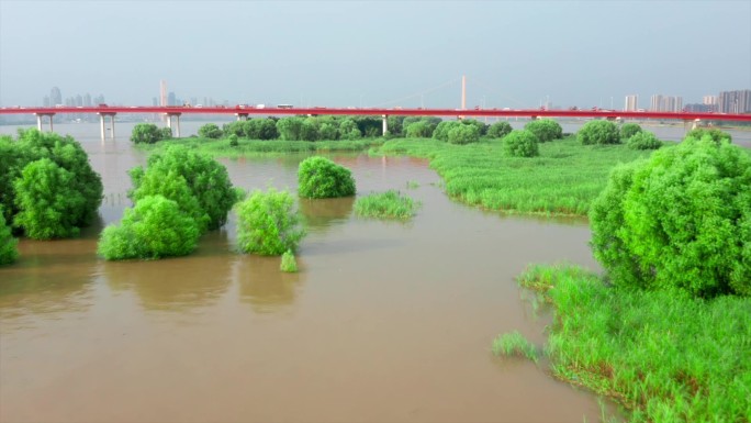 武汉白沙洲汛期淹水航拍全套素材