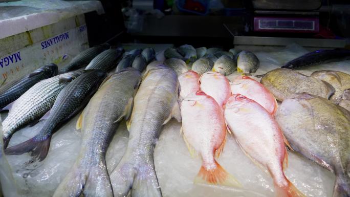 菜市场 市场 鱼类 虾类 河鲜