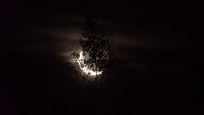 月亮在夜间移动月牙