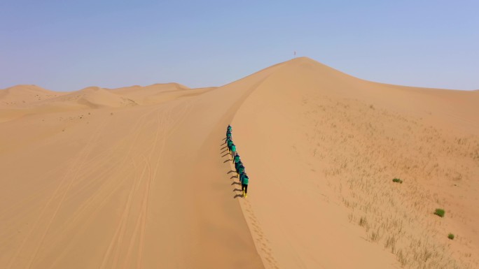 【4K】沙漠中行走的人