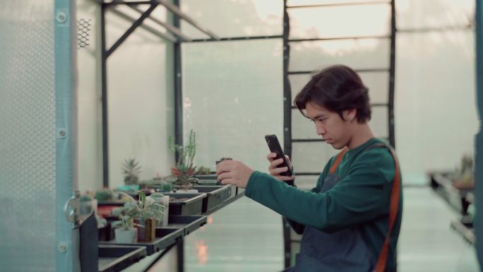 用手机拍照的人盆栽分享栽培种植心得
