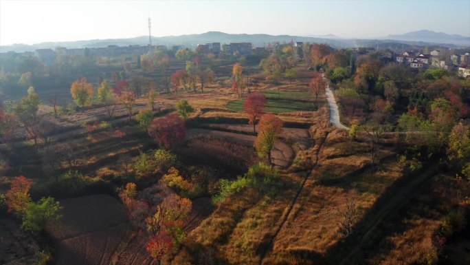 秋天的大悟航拍大悟秋色乡间田野