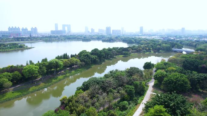 广州海珠湖海珠湿地公园城市航拍