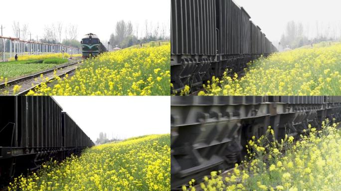 油菜花田野铁路行驶的火车铁路运输内燃机车