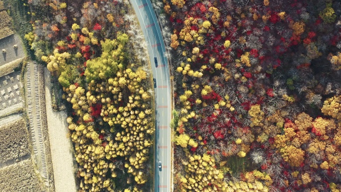 东北辽宁本桓公路秋季航拍美丽风景