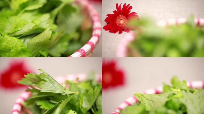 【镜头合集】新鲜芹菜叶子维生素叶绿素