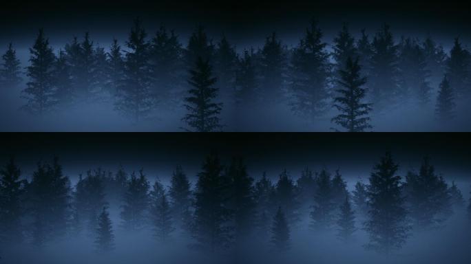 寒冷的冬天松林中的雾