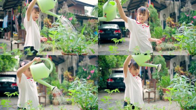 女孩给盆栽植物浇水