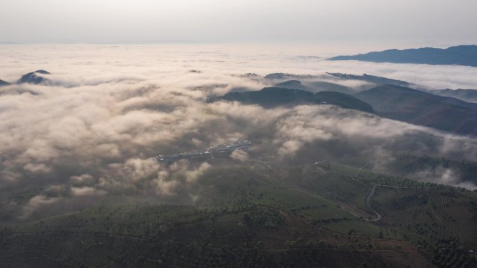 4K 茶园 云雾 延时 航拍