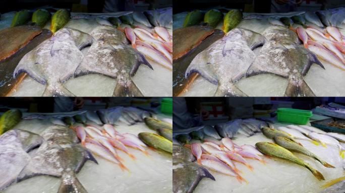 菜  市场 鱼类 虾类 河鲜 海鲜 水产