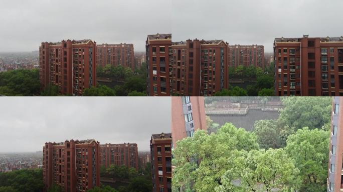 上海疫情期间下雨