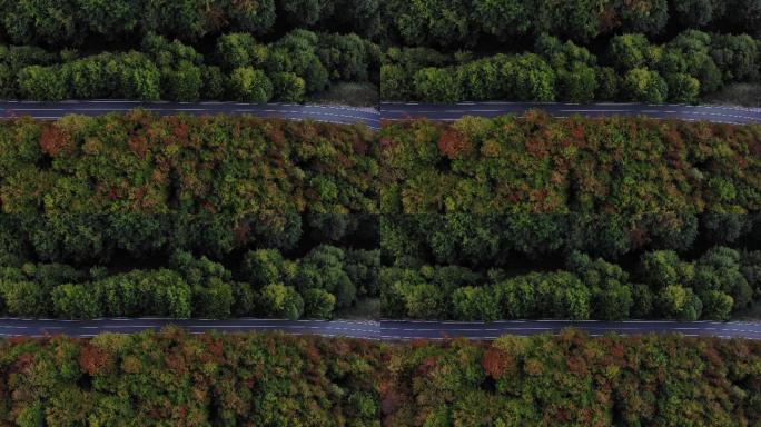 巴尔干山脉中的公路