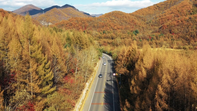 北方秋季山区公路大气美景航拍