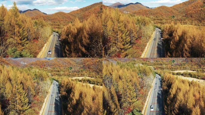 北方秋季山区公路大气美景航拍