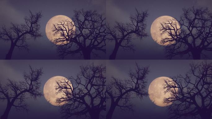 月亮和枯树元素简约3D