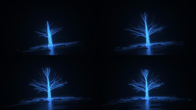 延时拍摄抽象大树生长成长过程唯美动态视频