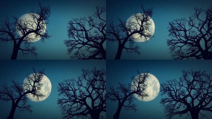 月亮和枯树月光明月皎洁中秋月圆月盘