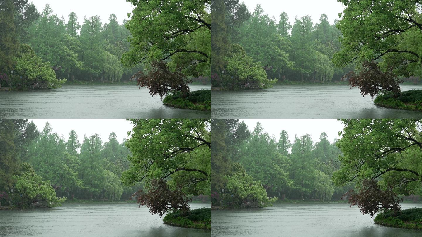 151杭州 风景 古风 下雨天 公园湖面