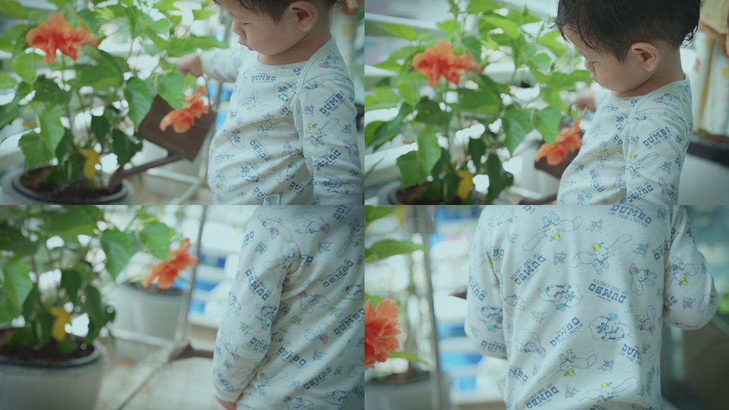 给植物浇水的男孩浇花盆景盆栽学习养花