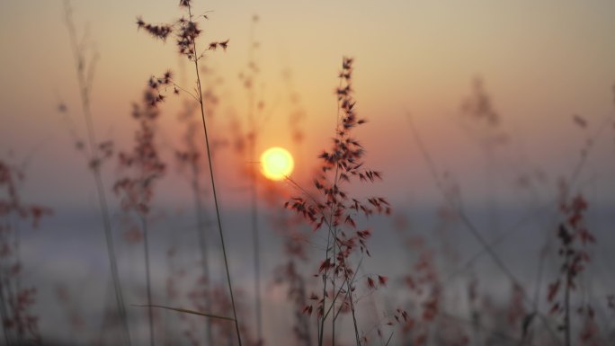 夕阳落日风景空镜